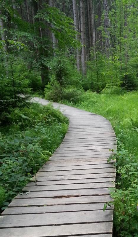 20150706_161722 – kopie